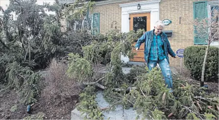  ?? MATHEW MCCARTHY WATERLOO REGION RECORD ?? Lynn Darroch steps carefully through the branches of a downed tree at her Mill Street home in Kitchener on Friday.