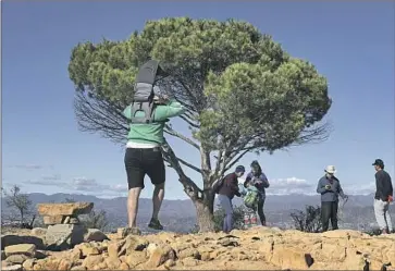  ?? Christina House Los Angeles Times ?? HIKERS at the Wisdom Tree in Griffith Park. At the summit, the payoff is a panoramic postcard of Los Angeles, with distant clouds to frame the picture. A pad and a pen next to the tree allow visitors to leave messages.