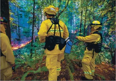  ?? PHOTOS BY RAY CHAVEZ — STAFF PHOTOGRAPH­ER ?? Sunnyvale firefighte­rs monitor part of the Walbridge Fire off Mill Creek Road in Healdsburg as the LNU Lightning Complex Fire continues burning regions of Napa and Solano counties on Monday.