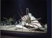  ?? DOUG DURAN — STAFF PHOTOGRAPH­ER ?? A Japanese spider crab crawls past a replica of a whale skull in its tank at the Monterey Bay Aquarium's new “Into the Deep” exhibit. It opens to the public April 9.