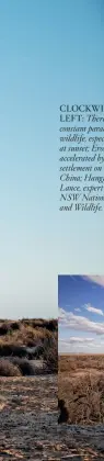  ??  ?? CLOCKWISE FROM LEFT: There is a constant parade of wildlife, especially at sunset; Erosion accelerate­d by European settlement on the Walls of China; Hanging in there; Lance, expert guide from NSW National Parks and Wildlife.