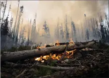  ?? The Canadian Press ?? A wildfire burns on a logging road southwest of Fort St. James, B.C. The COVID-19 pandemic has increased the danger of B.C.’s wildfire season and the province’s forests minister says public help is crucial to reduce fires.
