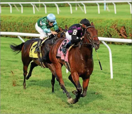  ?? PHOTO COURTESY NYRA ?? It was a 1-2 finish for trainer Wesley Ward as Irad Ortiz, Jr. brings Stillwater Cove from the back of the field up and past Chelsea Cloisters with John Velazquez aboard Wednesday at Saratoga Race Course.