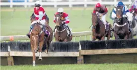  ?? Picture / Sarah Ivey ?? Southern Countess (left), pictured in her familiar hurdling role, races on the flat at Matamata today.