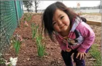  ?? PHOTOS SUBMITTED BY THE BOYERTOWN CHILDREN’S CENTER ?? Olivia Ortlip enjoys the pretty flowers.