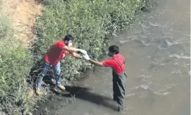  ??  ?? Los técnicos del Mades levantaron días atrás muestras de agua de la cuenca del lago Ypacaraí.