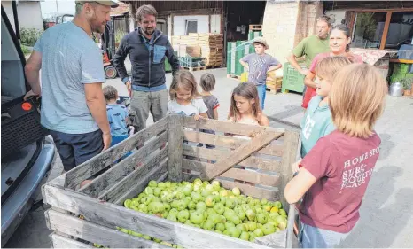  ?? FOTO: ELKE OBERLÄNDER ?? Wie viel Saft mögen die Äpfel wohl ergeben? Beim Schätzen liegen die Mitglieder der Familie Heep weit auseinande­r.