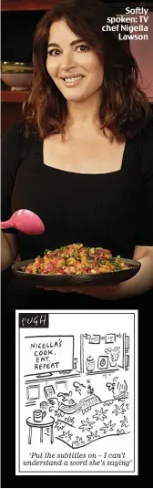  ??  ?? Softly spoken: TV chef Nigella Lawson
