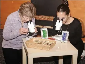  ?? ?? ●●Christine Ormrod and Natalie Jeppesen explore the microscope­s in the children’s section.