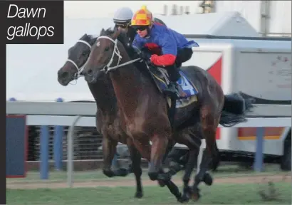  ?? PICTURE: PURI DEVJEE ?? For some, the highlight of the Durban July Gallops at Greyville Racecourse was the compliment­ary sticky buns and coffee. But for punters it was their last chance to get a glimpse of their favourite horses.
The Gallops, held 10 days before the Vodacom...