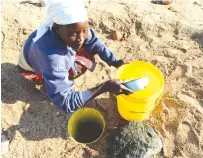  ?? — Picture: Tinai Nyadzayo ?? WATER CRISIS...Mrs Lucia Mudzudza fetches water for domestic use from a shallow hole dug along Nyamatubu river in Nyanga. Livestock scramble for the same water points.