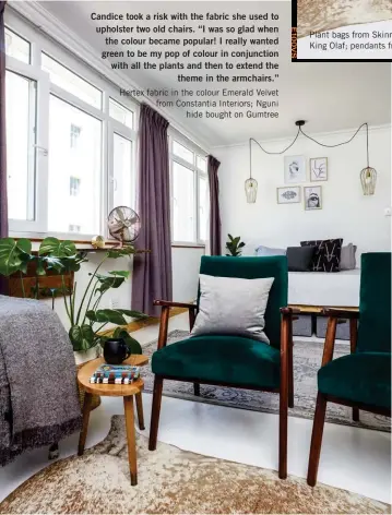  ??  ?? Candice took a risk with the fabric she used to upholster two old chairs. “I was so glad when the colour became popular! I really wanted green to be my pop of colour in conjunctio­n with all the plants and then to extend the theme in the armchairs.”...