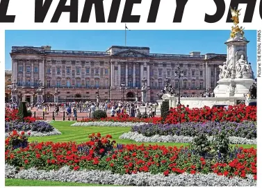  ??  ?? Palace performers: Geraniums are planted outside Buckingham Palace each year