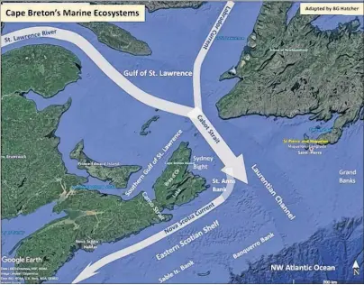  ?? SUBMITTED GRAPHIC ?? This is a map of Cape Breton marine ecosystems, showing important currents of this region.