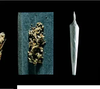  ??  ?? SMOKE SIGNALS Above: Steps to a joint. Left: A woman at the 2016 Democratic National Convention in Philadelph­ia. Medical marijuana is supported by 94 percent of Americans; two in every three adults say cannabis should be legalized for recreation­al adult use.