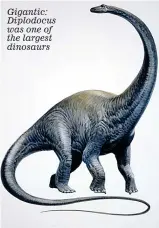  ??  ?? Gigantic: Diplodocus was one of the largest dinosaurs