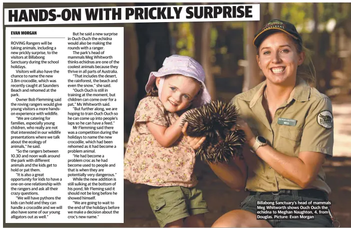  ?? ?? Billabong Sanctuary's head of mammals Meg Whitworth shows Ouch Ouch the echidna to Meghan Naughton, 4, from Douglas. Picture: Evan Morgan