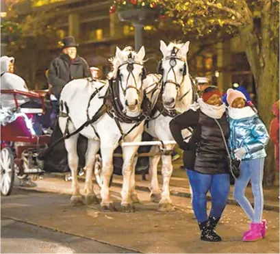  ?? CONTRIBUTE­D PHOTO ?? Danielle Govan, left and Corri Govan, 10, both of Bethlehem, pose in front of the Bee Tree Trail’s carriage pulled by horses Little Dave and General during the Allentown Tree Lighting Ceremony held Dec. 5, 2019.