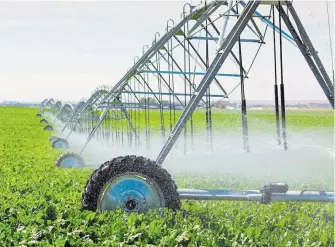  ?? ARCHIVO / ?? Se vuelve imperativo utilizar riego tecnificad­o para aprovechar mejor el agua