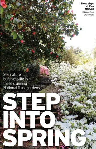  ?? ?? Stone steps at Plas Newydd ©National Trust/ Gwenno Parry