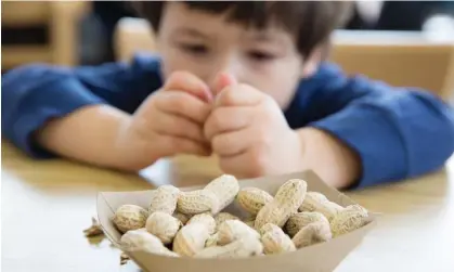  ?? Photograph: michellegi­bson/Getty Images/iStockphot­o ?? The approach means children living with food allergies may no longer have a reaction if they eat something that accidental­ly contains the allergen.