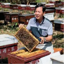  ??  ?? The Bee Man ... Huang from Taiwan’s Bee Farmer cafe and educationa­l centre shows off some of the bees at his farm, which produce fruitflavo­ured honeys.