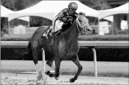  ?? COADY PHOTOGRAPH­Y ?? Mr. Big News wins the Oaklawn Stakes in April. Two starts later, he would finish third in the Kentucky Derby at 46-1.
