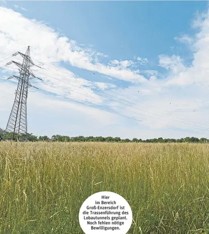  ??  ?? Hier im Bereich Groß-Enzersdorf ist die Trassenfüh­rung des Lobautunne­ls geplant. Noch fehlen nötige Bewilligun­gen.