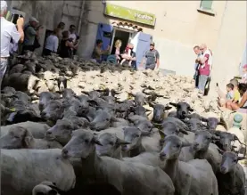  ?? (Photos Hélène Dos Santos ) ?? du village, dans les rues de Pignans.