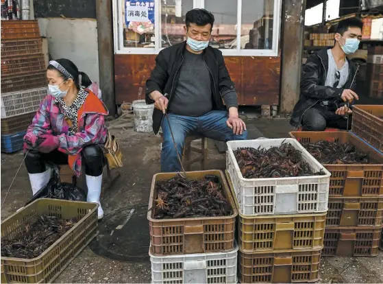  ?? PHOTO AFP ?? Des marchés ont rouvert avec l’assentimen­t des autorités locales, à Wuhan, mercredi, malgré les critiques de l’étranger. On voit ici des marchands avec des masques qui vendent des crevettes au marché Baishazhou, épicentre du coronaviru­s, selon la Chine.