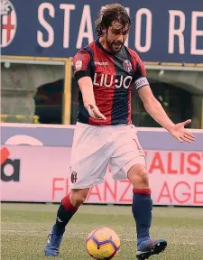  ?? LAPRESSE ?? Andrea Poli, 29 anni, alla seconda stagione con il Bologna