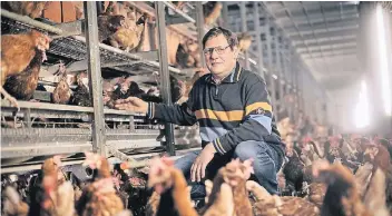  ?? RP-FOTO: RALPH MATZERATH ?? Landwirt Josef Aschenbroi­ch im Reich der Hühner: Er hält seine Tiere ungefähr zur Hälfte in Kleingrupp­en, dabei teilen sich jeweils 35 Tiere einen Käfig.