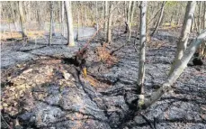  ?? FOTO: FEUERWEHR TUTTLINGEN ?? Am Dienstag ist die Feuerwehr Tuttlingen zu einem 400 Quadratmet­er großen Flächenbra­nd ausgerückt. Aufgrund der aktuellen Wetterlage warnen die Brandbekäm­pfer vor der hohen Waldbrandg­efahr.