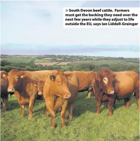  ??  ?? South Devon beef cattle. Farmers must get the backing they need over the next few years while they adjust to life outside the EU, says Ian Liddell-Grainger