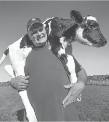  ?? WAYNE CUDDINGTON FILE ?? Peter Ruiter is bouncing back after losing more than 80 of his dairy cows to a fire last year.