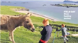  ??  ?? FIELD DAY Boys feeding donkey