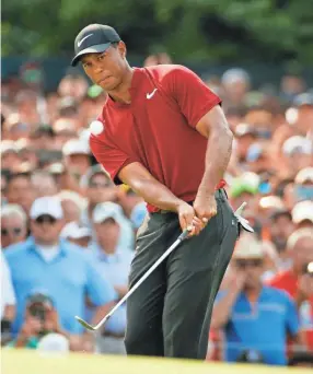  ??  ?? Tiger Woods chips onto 14th green during the final round of the PGA Championsh­ip on Aug. 12 at Bellerive Country Club. CHARLIE RIEDEL/AP