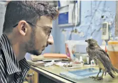  ?? ?? All That Breathes follows two brothers in Dehli who rescue injured black kites