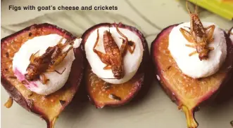  ??  ?? Figs with goat’s cheese and crickets