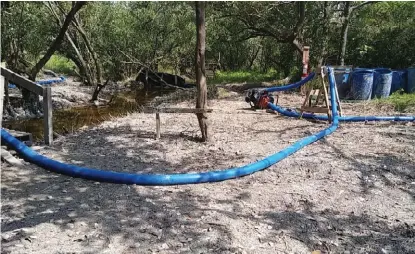  ?? LUCERO REYES ?? Hay derrame de sustancia por definir en la laguna San Andrés, así como tala de mangle.