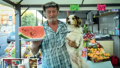  ?? (Furlan/Lapresse) ?? Con la mascotte Franck con l’inseparabi­le Paddy nel chiosco di piazza Po. Sotto, Gino Pellegrino: taglia angurie da 27 anni