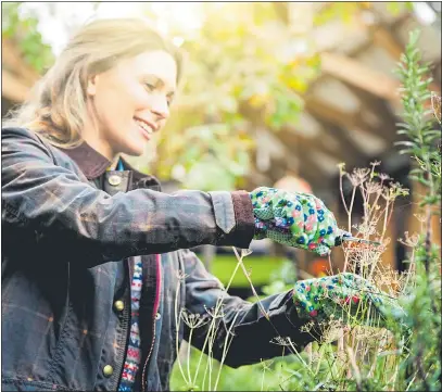  ??  ?? PLAN AHEAD: It’s the time of year to start thinking how you’d like your garden to look this summer