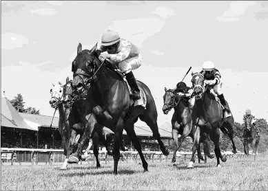  ?? RONNIE BETOR ?? War Canoe wins an allowance race at last summer’s Saratoga meet. With stablemate Fifty Five not running in Friday’s Yaddo, War Canoe will carry the banner for the Chad Brown barn.