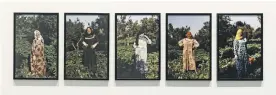  ?? Christophe­r Revelle; Sharjah Art Foundation ?? Left, Christophe­r Revelle’s edited image of an Iraqi father and son playing together; above, Hana Gamal highlights the role of women in Egypt’s agricultur­e in her photograph­s