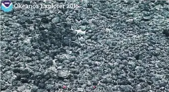  ?? NOAA OFFICE OF OCEAN EXPLORATIO­N AND RESEARCH ?? A pavement of manganese nodules near the Hawaiian islands.