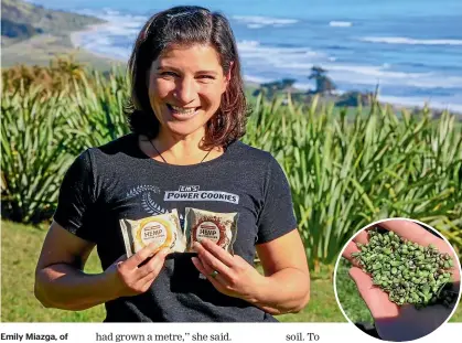  ??  ?? Emily Miazga, of Em’s Power Cookies, is rapt the announceme­nt means hemp seed, pictured right, can now be sold as food in New Zealand.