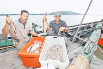  ??  ?? Fishermen (from left) Saleh Mos from Kampung Muhibah Pending and Peri Salleh from Kampung Tanjung Bako unload their catch at the new and modern Tanjung Bako port.