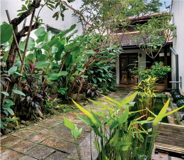  ??  ?? This page: Lush plantings line the path to the back door