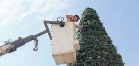  ?? PEDRO QUINTERO ?? &gt; Un técnico instala el árbol de Navidad.