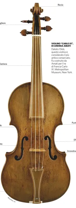  ??  ?? Cavigliere
Cordiera
Tastiera
Corde
Ponte Cassa armonica BRIDGEMAN/ACI
Riccio Datato 1566, questo violino è considerat­o il più antico conservato. Fu costruito da Amati per il re di Francia Carlo IX. Metropolit­an Museum, New...